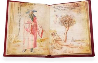 Sammlung der Alchemie – Ediciones Grial – MS Ashburnham 1166 – Biblioteca Medicea Laurenziana (Florenz, Italien)