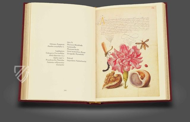 Kalligraphiebuch Faksimile