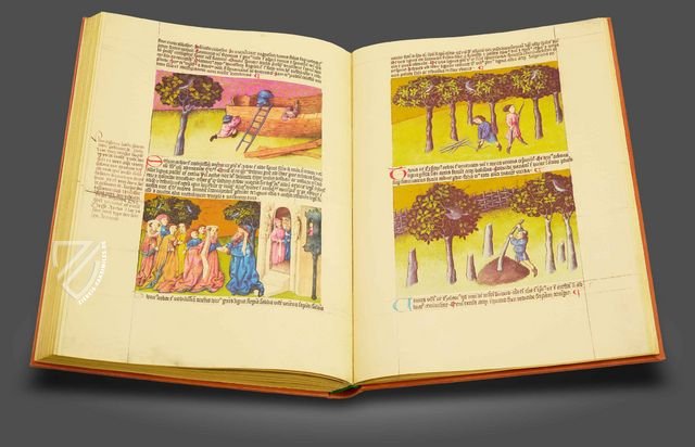 Liber de natura rerum - Codex C-67 Faksimile