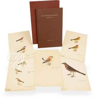 Das grosse Vogelbuch des Olof Rudbeck d. J. – Belser Verlag – Universitetsbibliotek Uppsala (Uppsala, Schweden)