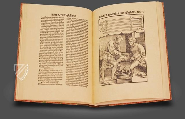 Feldbuch der Wundarznei – Editions Medicina Rara – Universitätsbibliothek Heidelberg (Heidelberg, Deutschland)