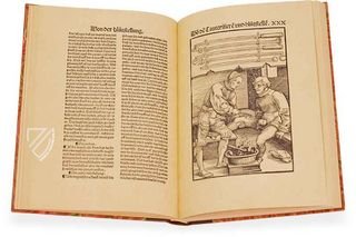 Feldbuch der Wundarznei – Editions Medicina Rara – Universitätsbibliothek Heidelberg (Heidelberg, Deutschland)