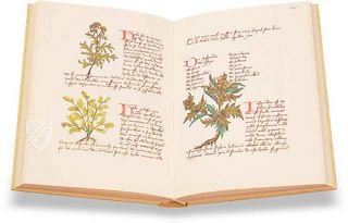 Buch der einfachen Heilmittel - Codex Bruxellensis – De Schutter – Codex Bruxellensis IV. 1024 – Bibliothèque Royale de Belgique (Bruxelles, Belgium)