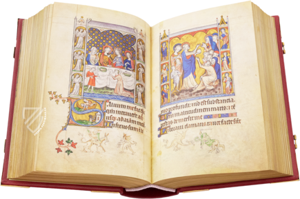 Queen-Mary-Psalter Faksimile