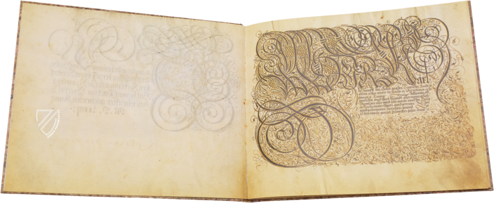 Das Schreibmeisterbuch des Franz Joachim Brechtel – Quaternio Verlag Luzern – JH.Msc.Art.88 – Staatsbibliothek Bamberg (Bamberg, Deutschland)