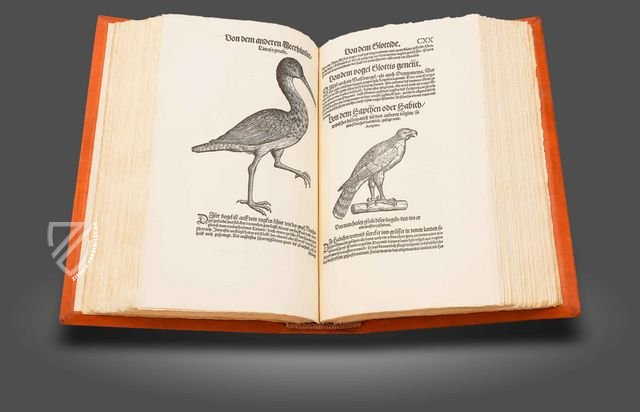 Vogelbuch von Conrad Gessner