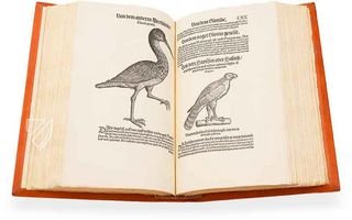 Vogelbuch von Conrad Gessner – Josef Stocker-Schmid – NS 4 | F – Zentralbibliothek Zürich (Zürich, Schweiz)