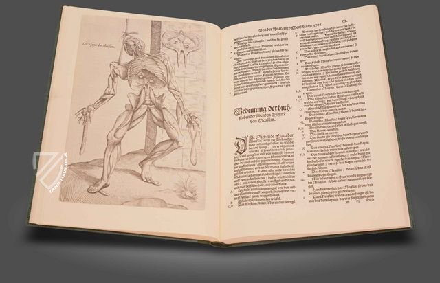 Andreas Vesalius: Anatomia - Deutsch Andreas Vesalius: Anatomia - Deutsch