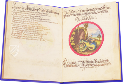 Alchemistisches Lehrgedicht von 1556 –  – Ms P 2177 – Zentralbibliothek Zürich (Zürich, Schweiz)