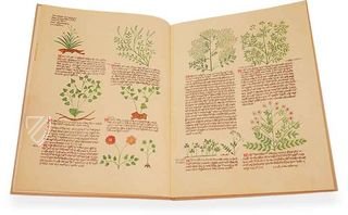 Das Elsässer circa instans - De simplici medicina – Sandoz – Ms. K. II. 11 – Universitätsbibliothek Basel (Basel, Schweiz)