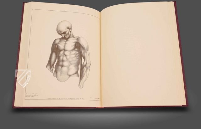 John Pugh: Abhandlung über die Wissenschaft der Muskelbewegung