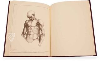 John Pugh: Abhandlung über die Wissenschaft der Muskelbewegung