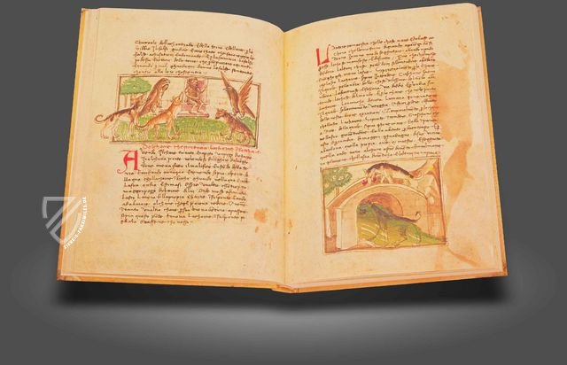 Udine Aesop – Casamassima Libri – Cod. Bartolini 83 (olim 34) – Biblioteca Arcivescovile e Bartoliniana (Udine, Italien)