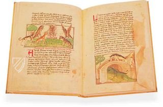 Udine Aesop – Casamassima Libri – Cod. Bartolini 83 (olim 34) – Biblioteca Arcivescovile e Bartoliniana (Udine, Italien) Udine Aesop – Casamassima Libri – Cod. Bartolini 83 (olim 34) – Biblioteca Arcivescovile e Bartoliniana (Udine, Italien)
