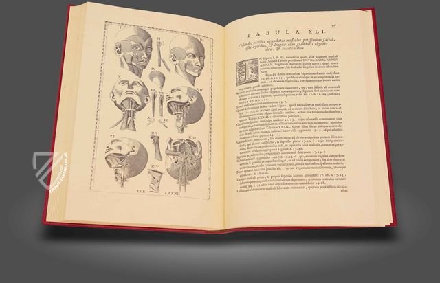 Eustachius: Tabulae Anatomicae – Editions Medicina Rara – Württembergische Landesbibliothek (Stuttgart, Deutschland) Eustachius: Tabulae Anatomicae – Editions Medicina Rara – Württembergische Landesbibliothek (Stuttgart, Deutschland)