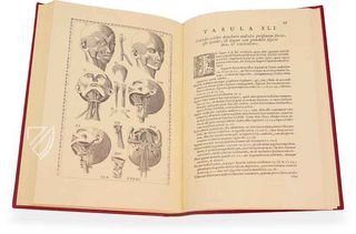 Eustachius: Tabulae Anatomicae – Editions Medicina Rara – Württembergische Landesbibliothek (Stuttgart, Deutschland)