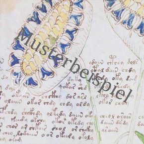 Die Floersheim Haggadah – Lichtdruck – Privatsammlung