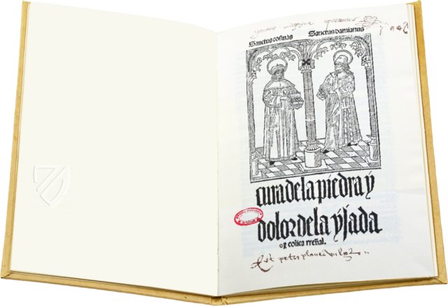 Cura de la Piedra y Dolor de la Ijada y Colica Rrenal – Vicent Garcia Editores – Inc. 205 – Biblioteca Histórico Médica de la Universidad de València (Valencia, Spanien)