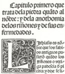 Cura de la Piedra y Dolor de la Ijada y Colica Rrenal – Vicent Garcia Editores – Inc. 205 – Biblioteca Histórico Médica de la Universidad de València (Valencia, Spanien)