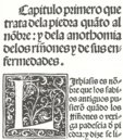 Cura de la Piedra y Dolor de la Ijada y Colica Rrenal – Vicent Garcia Editores – Inc. 205 – Biblioteca Historicomèdica de la Universitat de València (Valencia, Spanien)