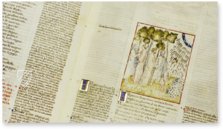 Dante Alighieri - Göttliche Komödie - Gradenighiano Codex – Imago – ms. SC-MS. 1162 (D II 41) – Biblioteca Civica Gambalunga (Rimini, Italien)