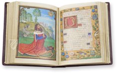 Das Van Damme Stundenbuch – Faksimile Verlag – MS M.451 – The Morgan Library & Museum (New York, USA)