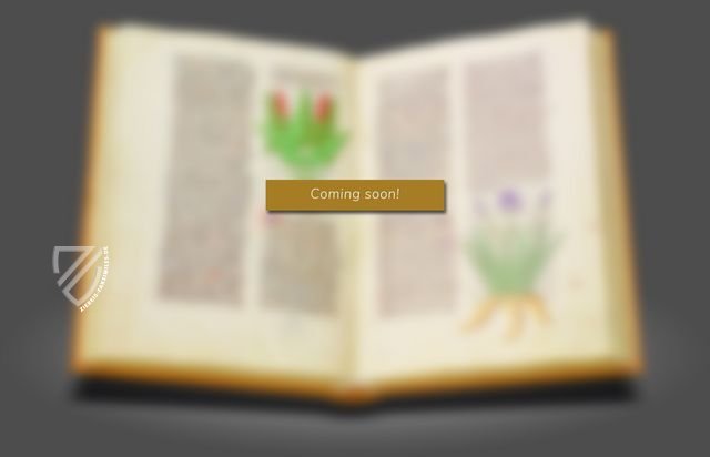 De Divina Proportione - Genfer Codex – ms. Langues Etrangères 210 – Bibliothèque de Genève (Genf, Schweiz) Faksimile