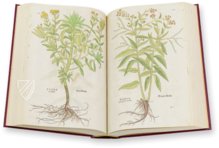 De Historia Stirpium - Leonhart Fuchs – Aboca Museum – Biblioteca Antiqua di Aboca Museum (Sansepolcro, Italien)