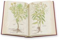 De Historia Stirpium - Leonhart Fuchs – Aboca Museum – Biblioteca Antiqua di Aboca Museum (Sansepolcro, Italien)