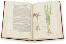 De Historia Stirpium - Leonhart Fuchs – Aboca Museum – Biblioteca Antiqua di Aboca Museum (Sansepolcro, Italien)