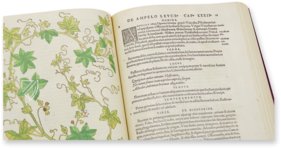 De Historia Stirpium - Leonhart Fuchs – Aboca Museum – Biblioteca Antiqua di Aboca Museum (Sansepolcro, Italien)