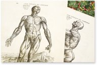 De Humani Corporis Fabrica - Andreas Vesalius – Orbis Pictus – Biblioteka Uniwersytecka Mikołaj Kopernik w Toruniu (Toruń, Polen)