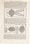 De la Pirotechnia - Zweite Ausgabe – Circulo Cientifico – RBME Mª 8-II-3 – Real Biblioteca del Monasterio (San Lorenzo de El Escorial, Spanien)