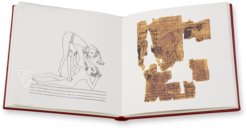 Der Erotische Papyrus – BiblioGemma – N. Inv. C. 2031 (CGT 55001) – Museo Egizio di Torino (Turin, Italien)