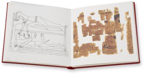 Der Erotische Papyrus – N. Inv. C. 2031 (CGT 55001) – Museo Egizio di Torino (Turin, Italien) Faksimile