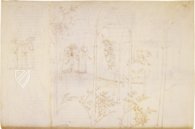 Die Göttliche Komödie mit Illustrationen von Sandro Botticelli – Reg. lat. 1896 – Biblioteca Apostolica Vaticana (Vaticanstadt, Vaticanstadt) Faksimile