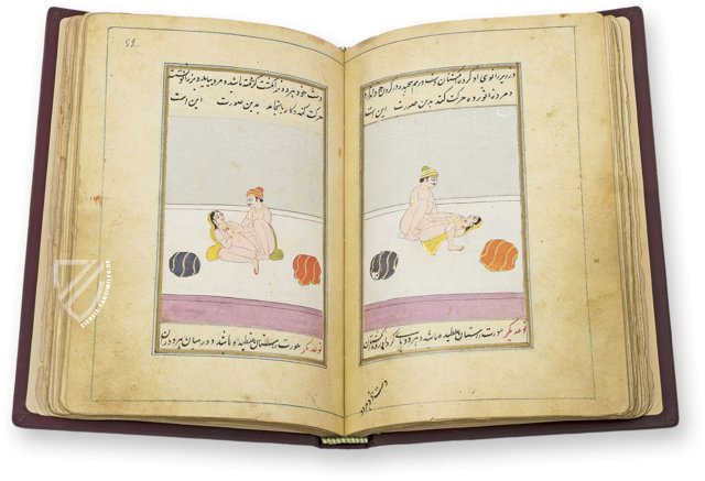 Die Lust der Frauen – M. Moleiro Editor – Suppl. persan 1804 – Bibliothèque nationale de France (Paris, Frankreich)