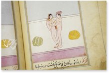 Die Lust der Frauen – M. Moleiro Editor – Suppl. persan 1804 – Bibliothèque nationale de France (Paris, Frankreich)