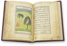 Die Lust der Frauen – M. Moleiro Editor – Suppl. persan 1804 – Bibliothèque nationale de France (Paris, Frankreich)