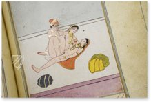 Die Lust der Frauen – M. Moleiro Editor – Suppl. persan 1804 – Bibliothèque nationale de France (Paris, Frankreich)