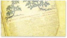Dioskurides Neapolitanus – Akademische Druck- u. Verlagsanstalt (ADEVA) – Ms. ex Vindob. gr. 1 – Biblioteca Nazionale "Vittorio Emanuele III" (Neapel, Italien)