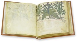 Dioskurides Neapolitanus – Ms. ex Vindob. gr. 1 – Biblioteca Nazionale "Vittorio Emanuele III" (Neapel, Italien) Faksimile