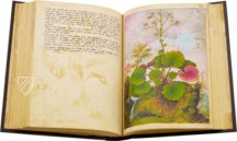 Dioskurides von Cibo und Mattioli – M. Moleiro Editor – Additional 22332 – British Library (London, Vereinigtes Königreich)