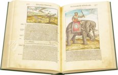 Discorsi di P. A. Mattioli illustiert von Gherardo Cibo – Aboca Museum – Rari 278 – Biblioteca Alessandrina (Rom, Italien)