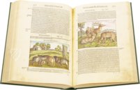 Discorsi di P. A. Mattioli illustiert von Gherardo Cibo – Aboca Museum – Rari 278 – Biblioteca Alessandrina (Rom, Italien)