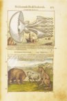 Discorsi di P. A. Mattioli illustiert von Gherardo Cibo – Rari 278 – Biblioteca Alessandrina (Rom, Italien) Faksimile