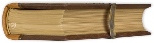 Echternacher Evangelistar – Faksimile Verlag – ms. 9428 – KBR (Koninklijke Bibliotheek van België/Bibliothèque royale de Belgique) (Brüssel, Belgien) Echternacher Evangelistar – Faksimile Verlag – ms. 9428 – KBR (Koninklijke Bibliotheek van België/Bibliothèque royale de Belgique) (Brüssel, Belgien)