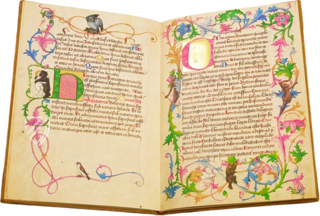 Ein Lehrbuch für Kaiser Maximilian I. – Andreas & Andreas Verlagsbuchhandlung – Cod. Ser. n. 2617 – Österreichische Nationalbibliothek (Wien, Österreich)