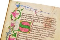 Ein Lehrbuch für Kaiser Maximilian I. – Andreas & Andreas Verlagsbuchhandlung – Cod. Ser. n. 2617 – Österreichische Nationalbibliothek (Wien, Österreich)