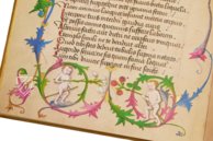 Ein Lehrbuch für Kaiser Maximilian I. – Andreas & Andreas Verlagsbuchhandlung – Cod. Ser. n. 2617 – Österreichische Nationalbibliothek (Wien, Österreich)